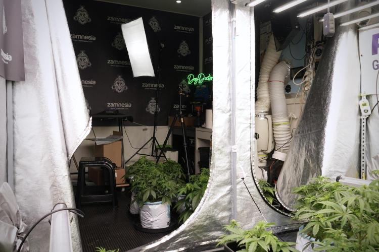 Catching The Ghost Train Haze @ Zamnesia. Week 5 - Room conditions and vibes 