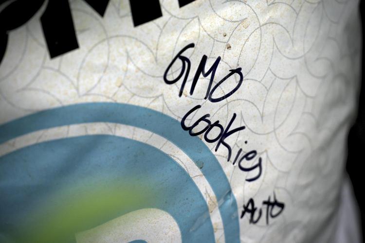 GMO Cookies Served with extra curiosity. Week 5 - GMO Cookies 12/12 From Seed Trainings 