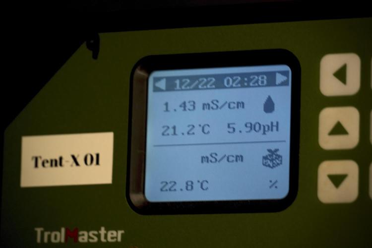 GMO Cookies Served with extra curiosity. Week 5 - Conditions 