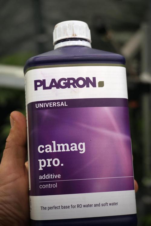 GMO Cookies Served with extra curiosity. Week 5 - New addiction 