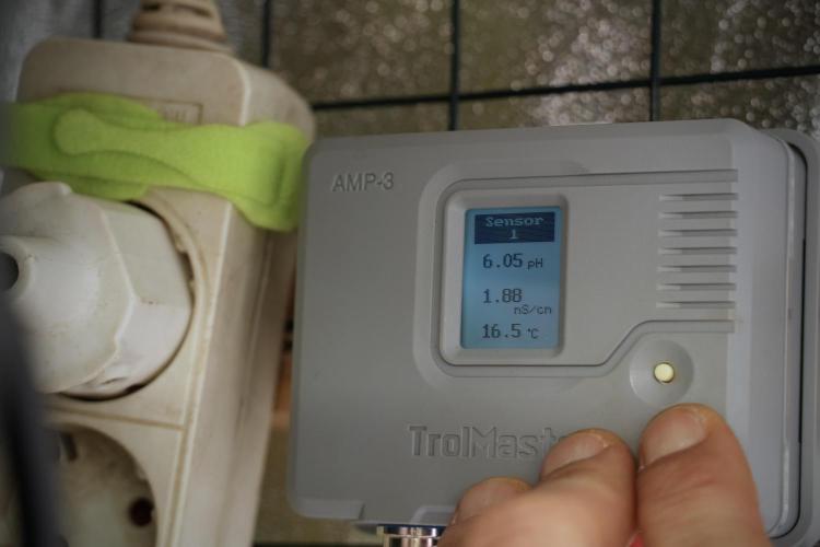 GMO Cookies Served with extra curiosity. Week 5 - Vibes