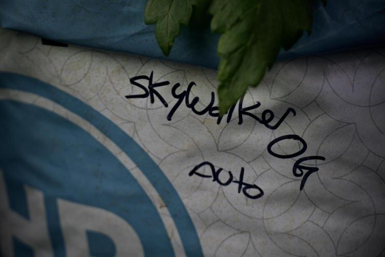 Skywalker OG Legends of the 12/12 Galaxy. Week 5 - 12/12 from seed 