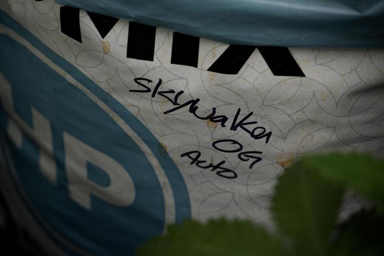 Skywalker OG Legends of the 12/12 Galaxy. Week 5 - 12/12 from seed 