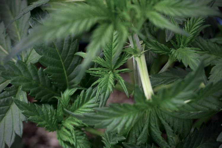 Skywalker OG Legends of the 12/12 Galaxy. Week 5 - 12/12 from seed 