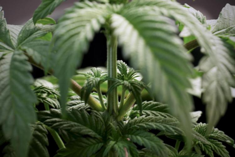 Skywalker OG Legends of the 12/12 Galaxy. Week 5 - Studio times 