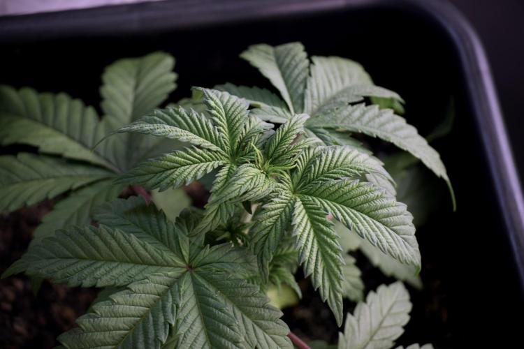 Skywalker OG Legends of the 12/12 Galaxy. Week 5 - Studio times 