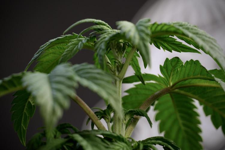 Skywalker OG Legends of the 12/12 Galaxy. Week 5 - Studio times 