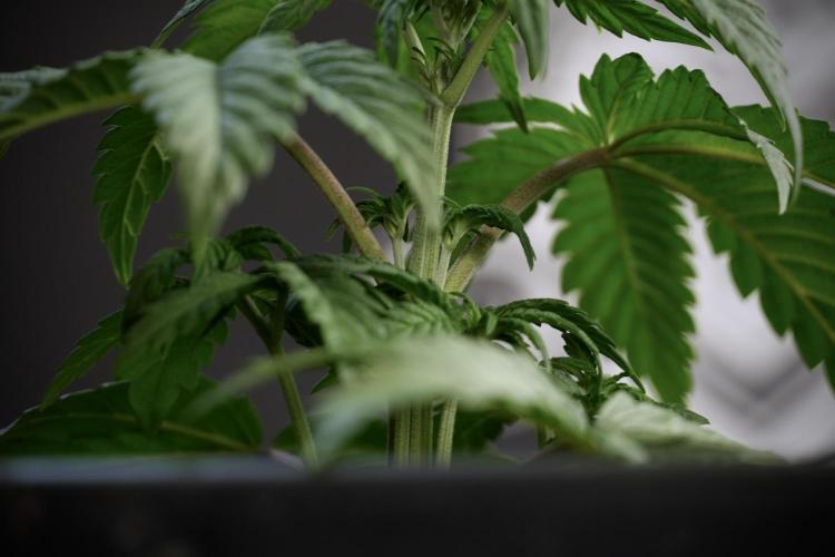 Skywalker OG Legends of the 12/12 Galaxy. Week 5 - Studio times 