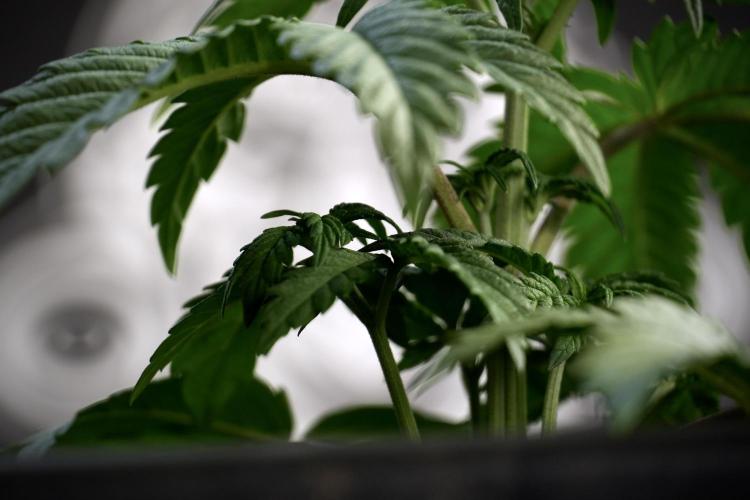 Skywalker OG Legends of the 12/12 Galaxy. Week 5 - Studio times 