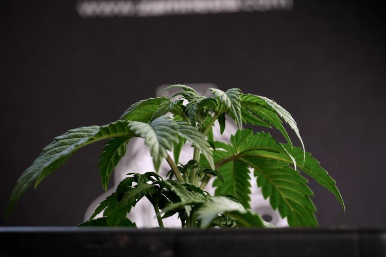 Skywalker OG Legends of the 12/12 Galaxy. Week 5 - Studio times 