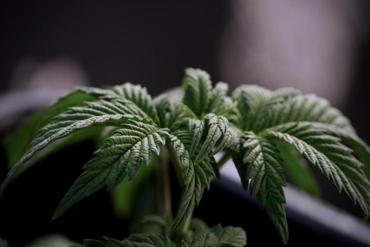 Skywalker OG Legends of the 12/12 Galaxy. Week 5 - Studio times 