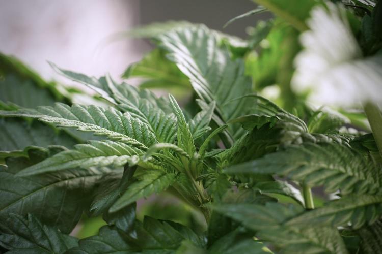 Skywalker OG Legends of the 12/12 Galaxy. Week 5 - Studio times 