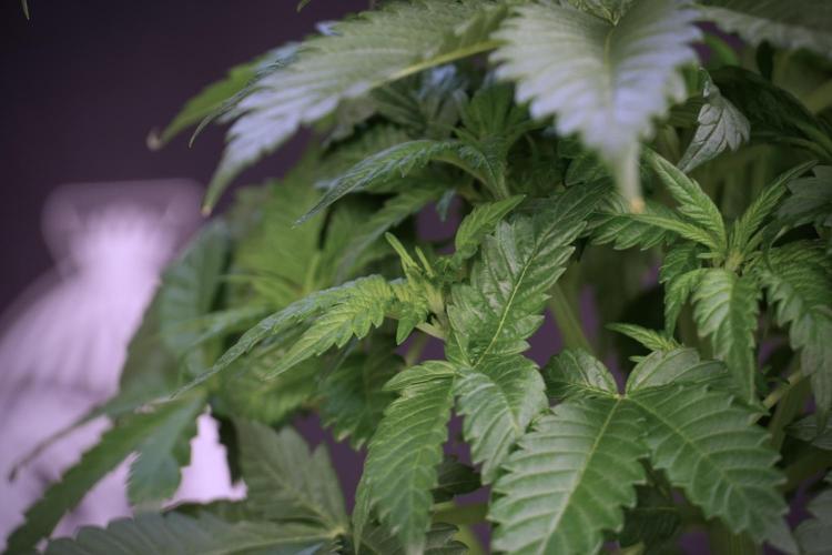 Skywalker OG Legends of the 12/12 Galaxy. Week 5 - Studio times 