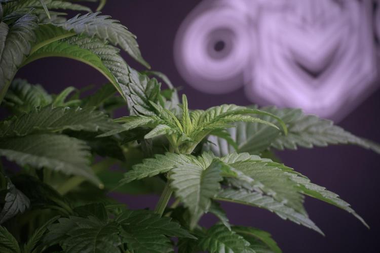 Skywalker OG Legends of the 12/12 Galaxy. Week 5 - Studio times 