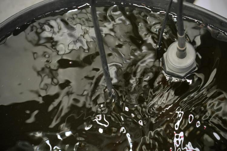 Skywalker OG Legends of the 12/12 Galaxy. Week 5 - watering 