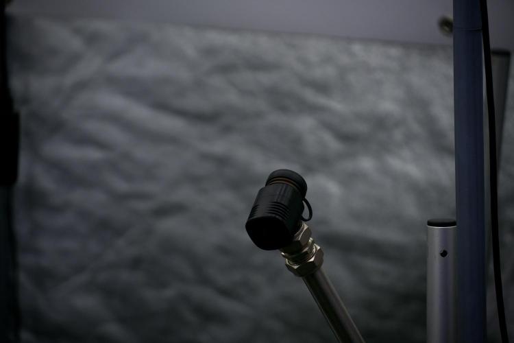 Animal Mints-Legends of the Frozen North. Week 5 - Room 