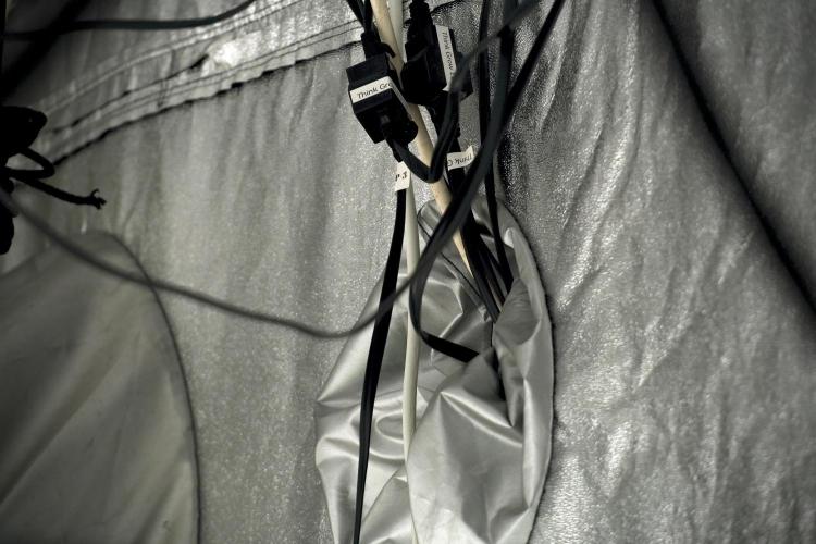 Animal Mints-Legends of the Frozen North. Week 5 - Room vibes