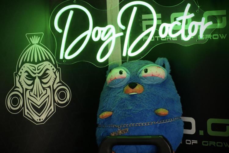 Animal Mints-Legends of the Frozen North. Week 5 - Mr. Baggy in the House