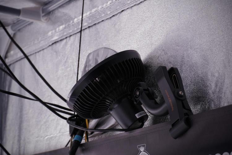 SOUR DIESEL-The Ascension of a Legend. Week 6 - room and vibes 