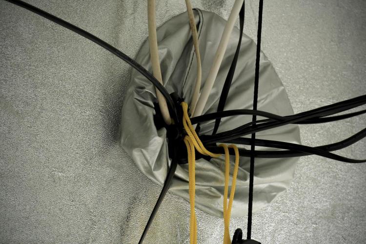 SOUR DIESEL-The Ascension of a Legend. Week 6 - Room and vibes 