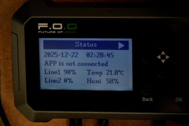 SOUR DIESEL-The Ascension of a Legend. Week 6 - Room and vibes 