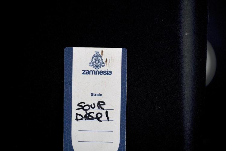 SOUR DIESEL-The Ascension of a Legend. Week 6 - Sour Diesel not happy 