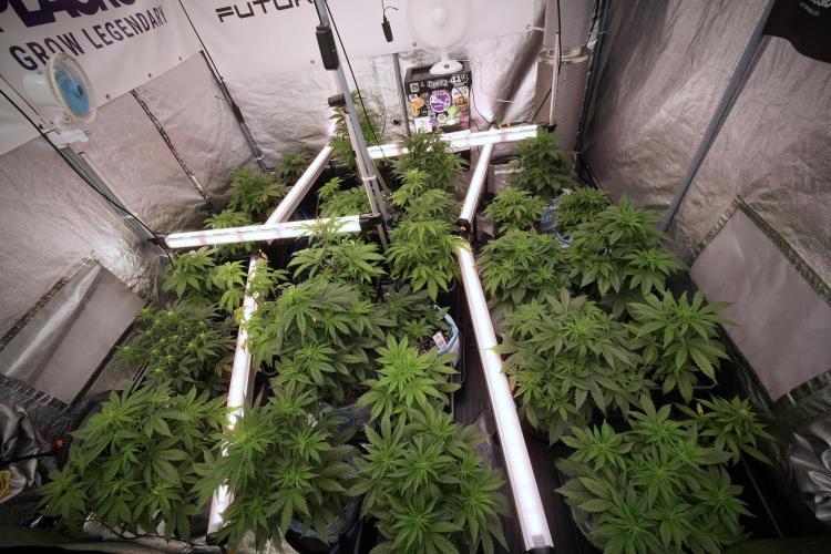 Lemon Cherry Gelato YumYum. Week 6 - Room Views 