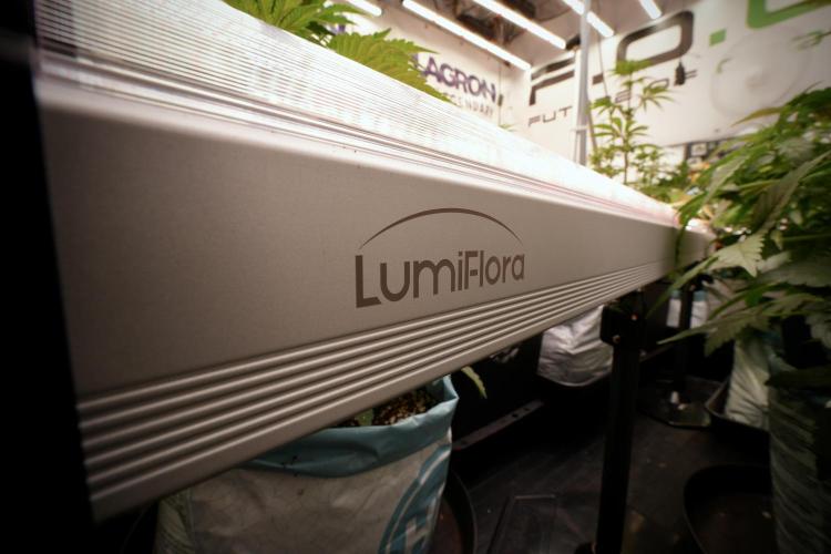 Lemon Cherry Gelato YumYum. Week 6 - Room Views 