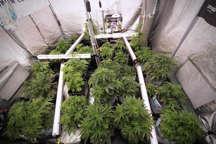 Lemon Cherry Gelato YumYum. Week 6 - Room Views 