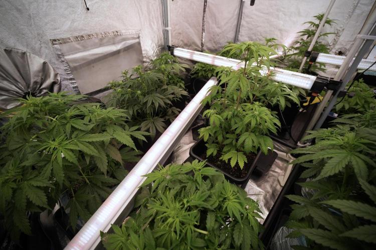 Lemon Cherry Gelato YumYum. Week 6 - Room Views 