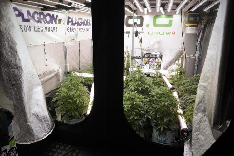 Lemon Cherry Gelato YumYum. Week 6 - Room Views 