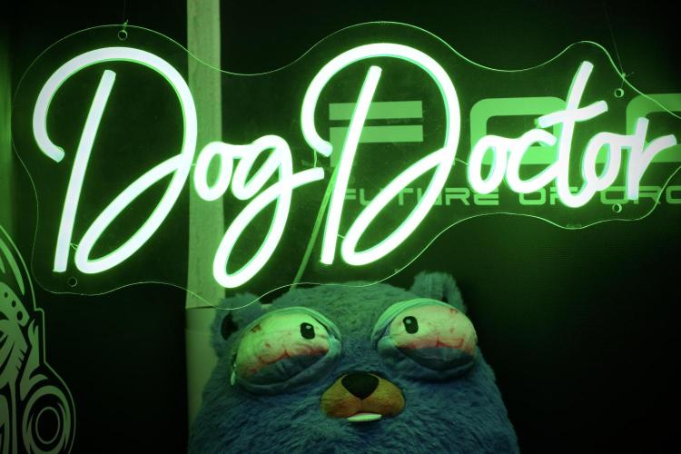 Cosmic Noodles a Zamnesia Dish. Week 6 - Mr Baggy