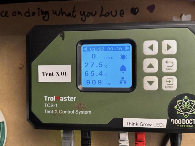 Catching The Ghost Train Haze @ Zamnesia. Week 6 - Room 