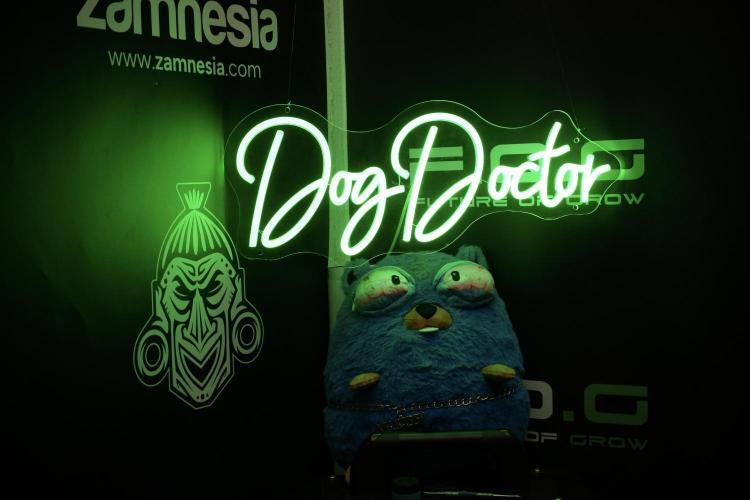 GMO Cookies Served with extra curiosity. Week 6 - Mr. Baggy