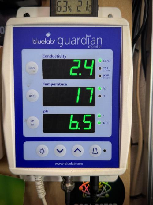 GMO Cookies Served with extra curiosity. Week 6 - water 