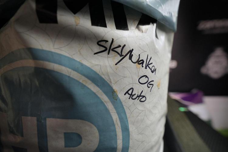 Skywalker OG Legends of the 12/12 Galaxy. Week 6 - Sky Walker OG clean up day 