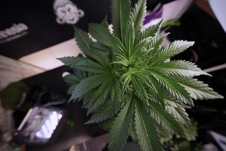 Skywalker OG Legends of the 12/12 Galaxy. Week 6 - Sky Walker OG clean up day 