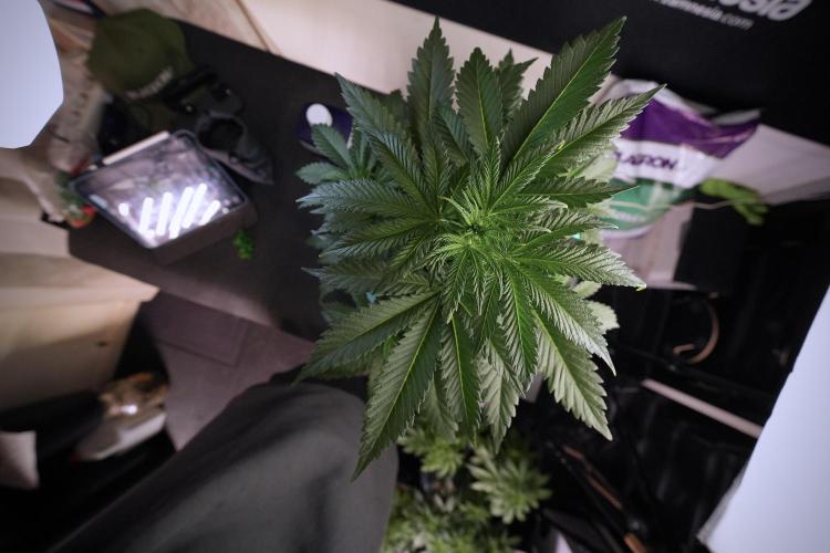 Skywalker OG Legends of the 12/12 Galaxy. Week 6 - Sky Walker OG clean up day 