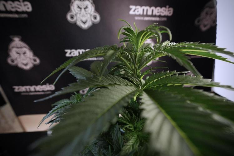 Skywalker OG Legends of the 12/12 Galaxy. Week 6 - Sky Walker OG clean up day 