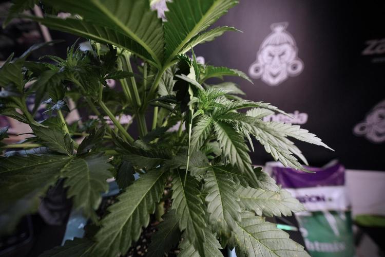 Skywalker OG Legends of the 12/12 Galaxy. Week 6 - Sky Walker OG clean up day 