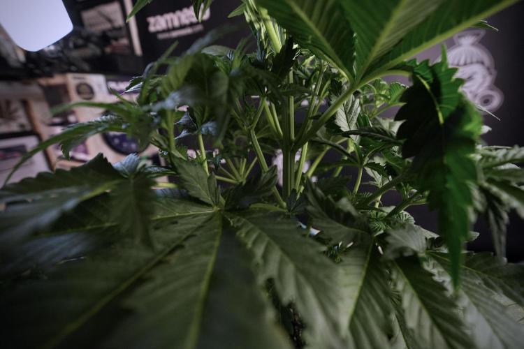 Skywalker OG Legends of the 12/12 Galaxy. Week 6 - Sky Walker OG clean up day 