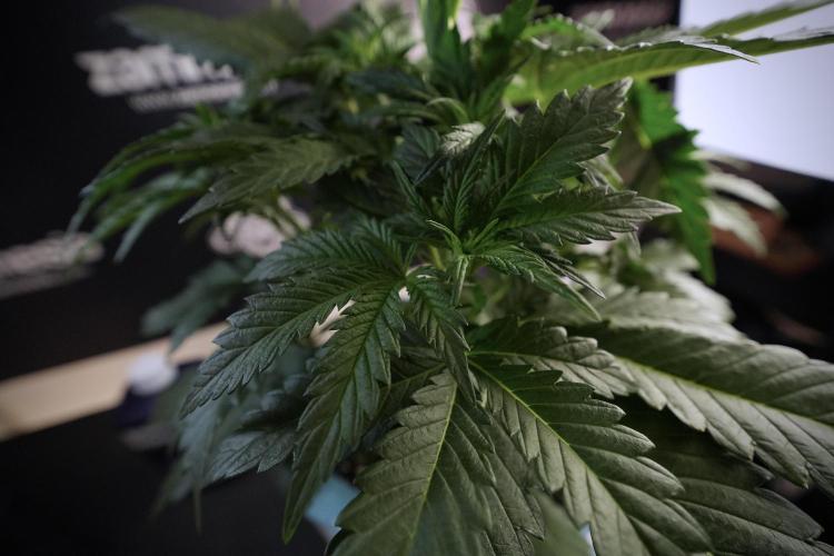 Skywalker OG Legends of the 12/12 Galaxy. Week 6 - Sky Walker OG clean up day 