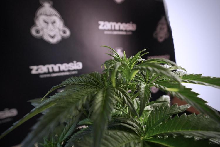 Skywalker OG Legends of the 12/12 Galaxy. Week 6 - Sky Walker OG clean up day 