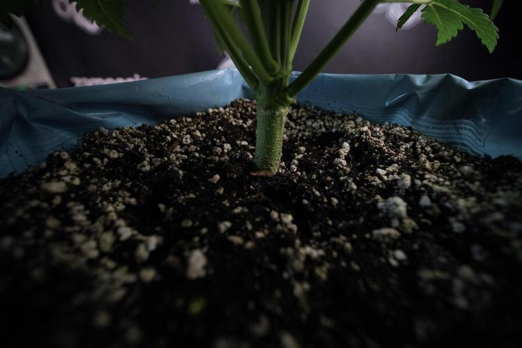 Skywalker OG Legends of the 12/12 Galaxy. Week 6 - Sky Walker OG clean up day 