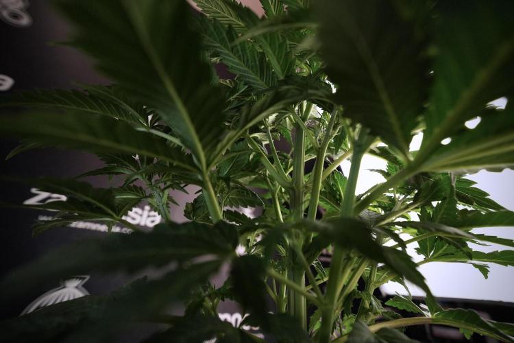 Skywalker OG Legends of the 12/12 Galaxy. Week 6 - Sky Walker OG clean up day 