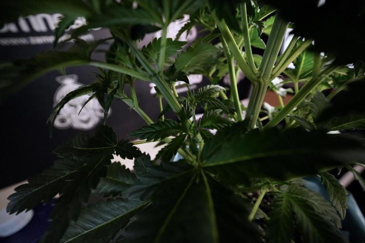 Skywalker OG Legends of the 12/12 Galaxy. Week 6 - Sky Walker OG clean up day 