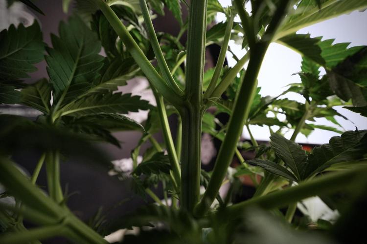 Skywalker OG Legends of the 12/12 Galaxy. Week 6 - Sky Walker OG clean up day 