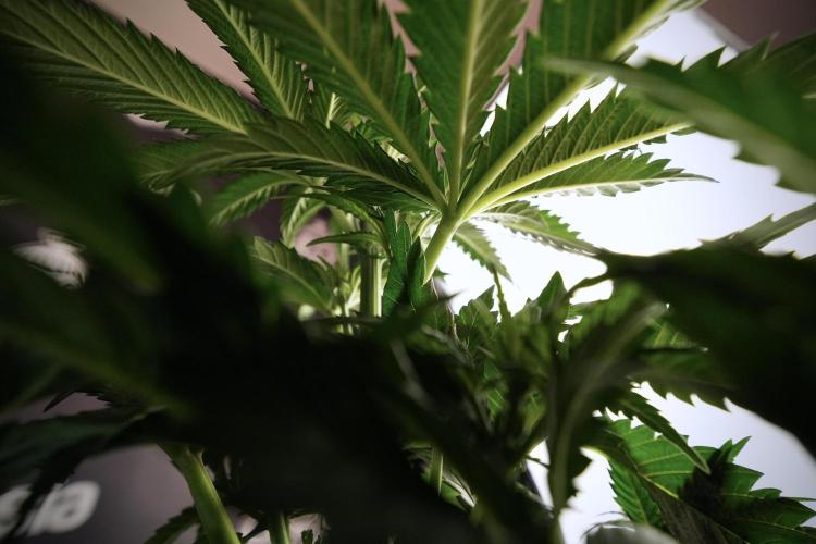 Skywalker OG Legends of the 12/12 Galaxy. Week 6 - Sky Walker OG clean up day 