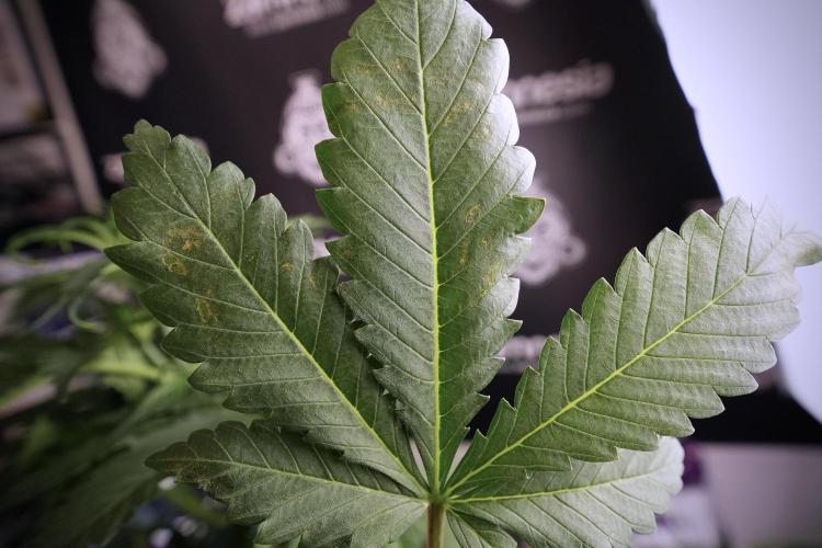 Skywalker OG Legends of the 12/12 Galaxy. Week 6 - Sky Walker OG clean up day 