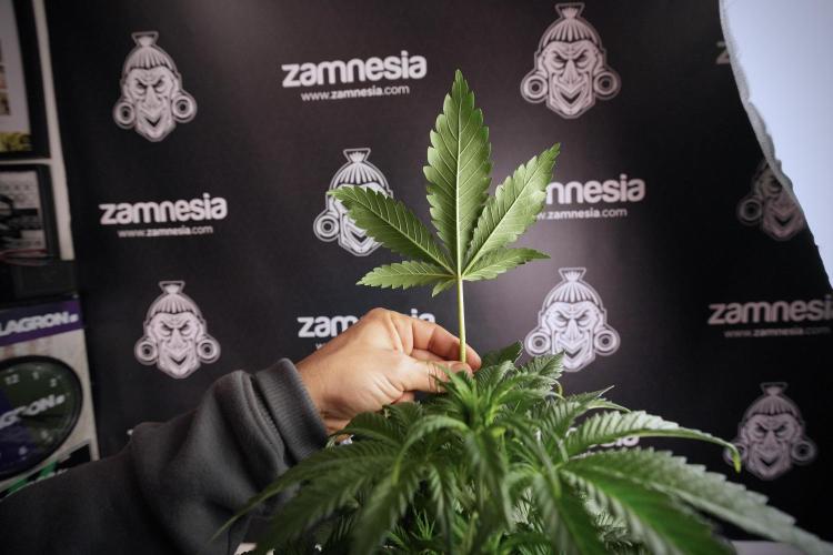 Skywalker OG Legends of the 12/12 Galaxy. Week 6 - Sky Walker OG clean up day 